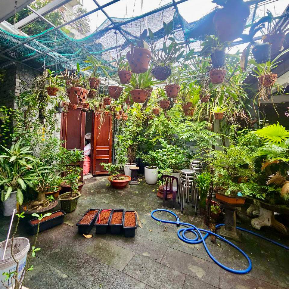 photo_2024-12-23_19-15-37 (2)