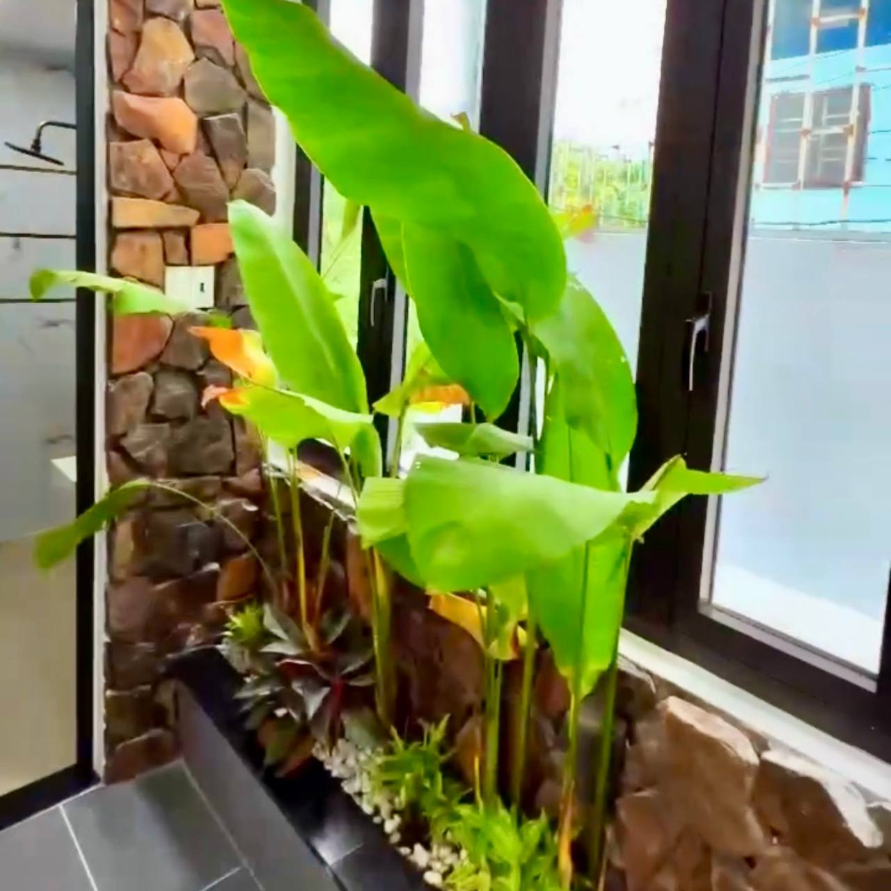 photo_2025-02-10_13-31-58