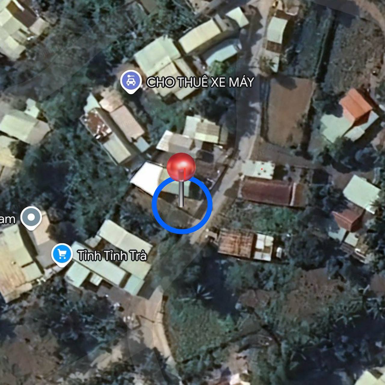 photo_2025-02-17_19-38-03