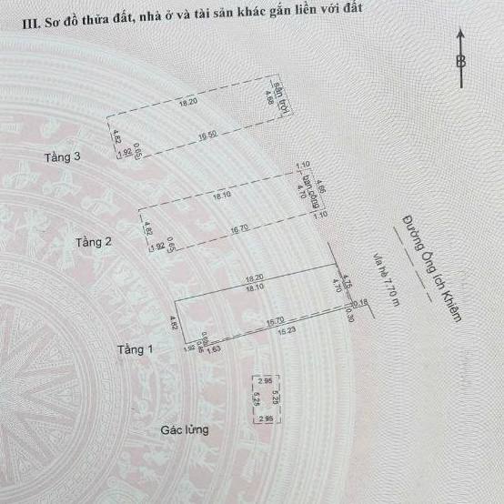 photo_2025-03-11_11-10-33