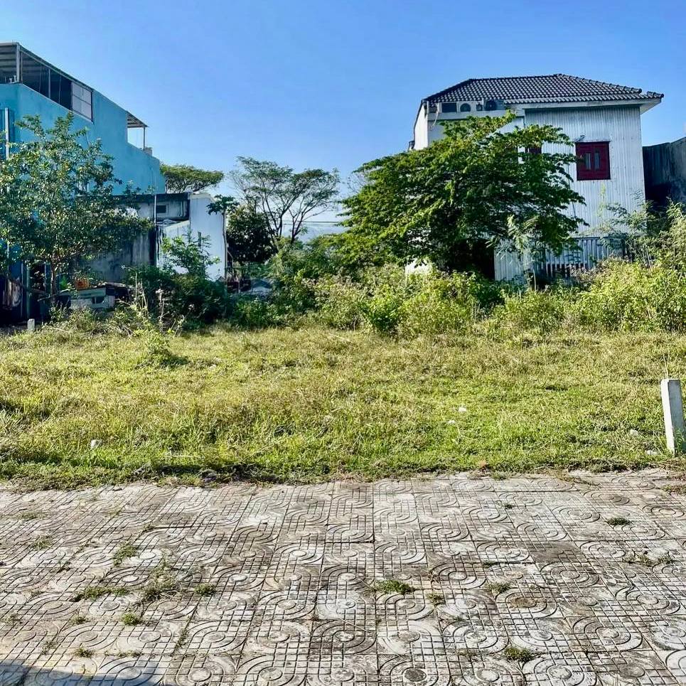 photo_2025-03-17_20-35-49 (2)