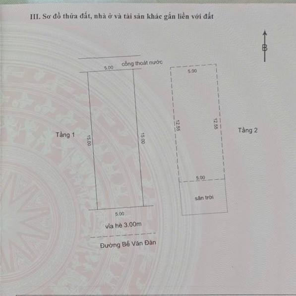 photo_2025-03-25_18-20-41 (2)