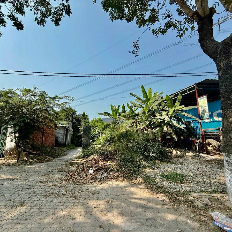 photo_2025-03-27_22-59-38 (2)