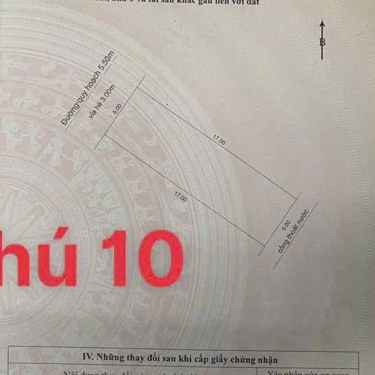 photo_2025-03-29_20-04-42 (2)