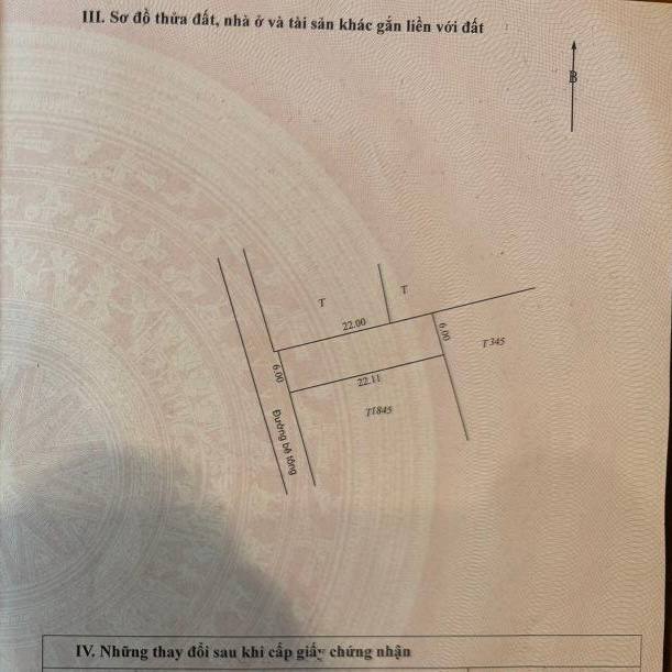 photo_2025-03-31_22-07-17