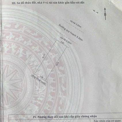 photo_2025-04-04_16-01-51