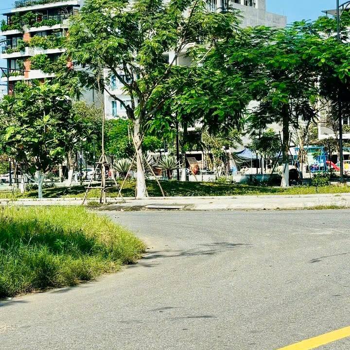 photo_2025-04-08_23-51-39