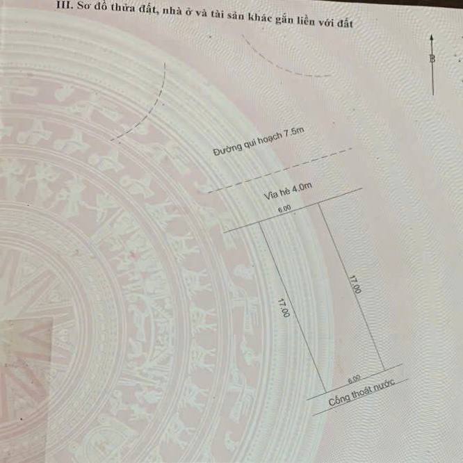 photo_2025-04-08_23-51-42