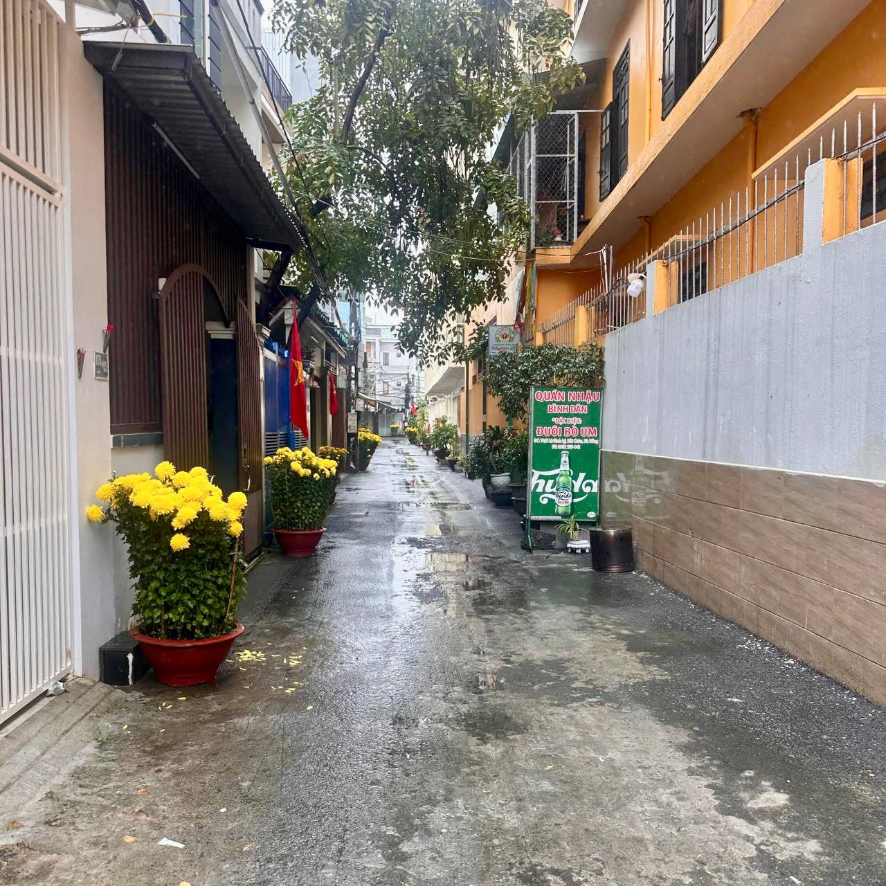 photo_2025-04-11_09-26-02