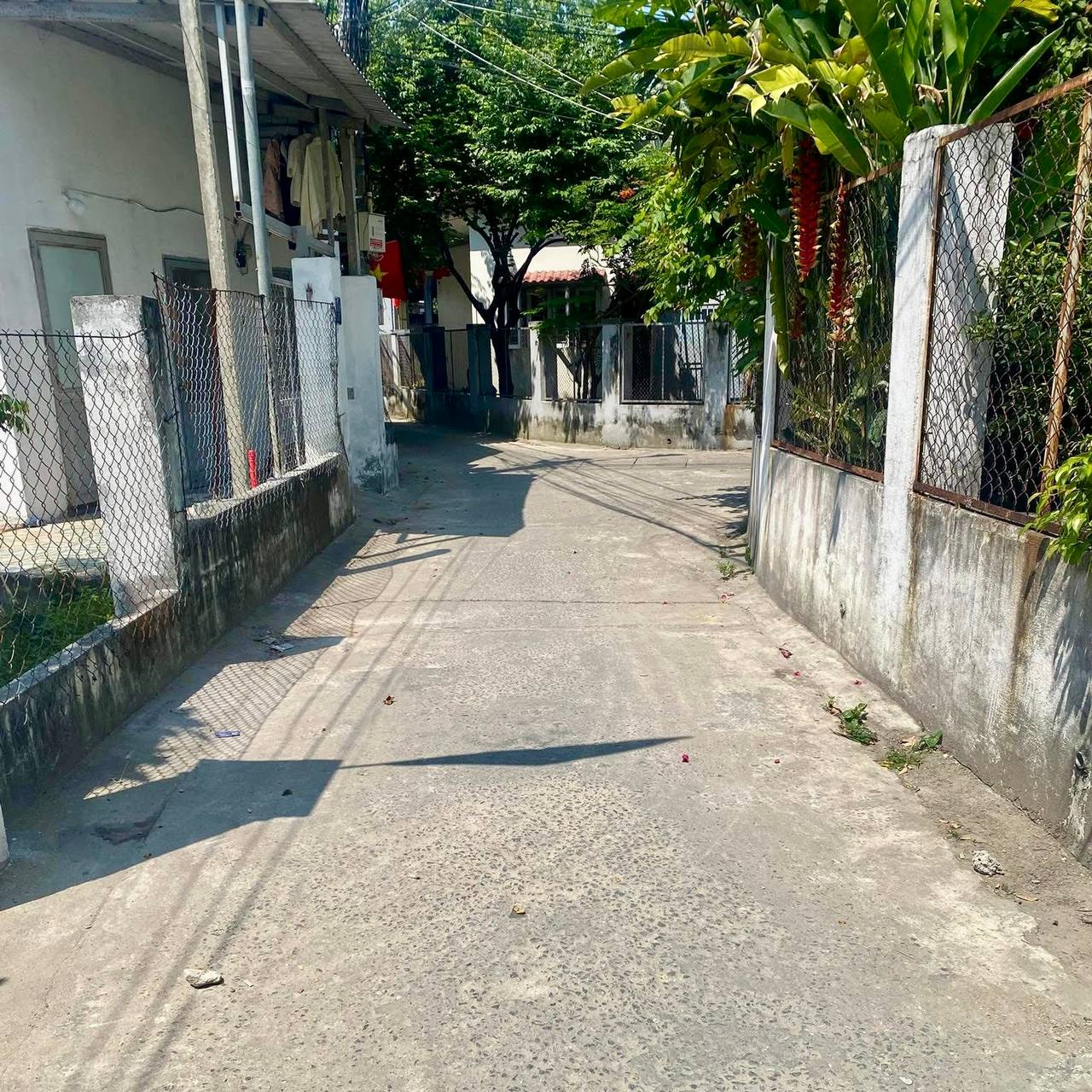 photo_2025-04-12_11-50-14