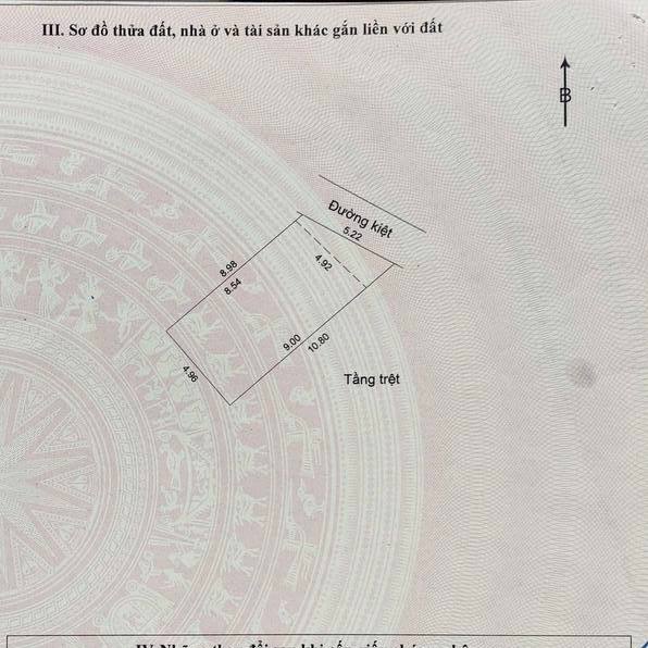 photo_2025-04-12_11-51-27 (2)