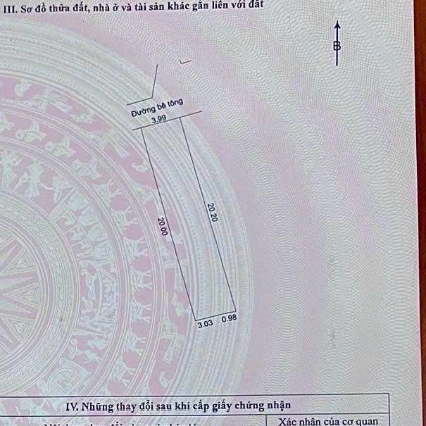 photo_2025-04-16_18-46-53 (2)