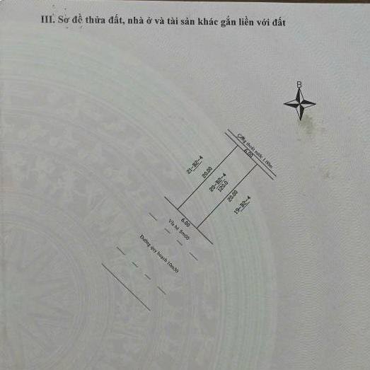 photo_2025-04-19_10-30-00 (2)