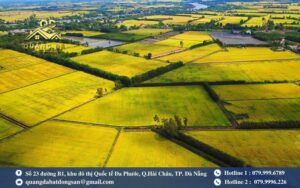 Giải Đáp Cùng Chuyên Gia: Đất 50 Năm Là Như Thế Nào?