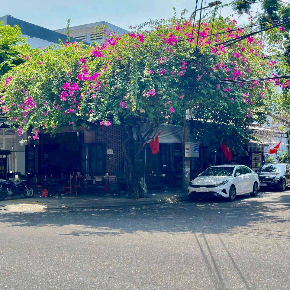 photo_2025-05-03_14-38-50