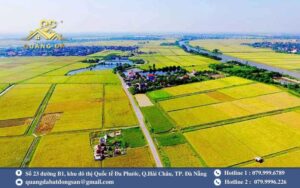 Quy Hoạch Đất Nông Nghiệp Là Gì? Có Nên Mua Đất Quy Hoạch Nông Nghiệp