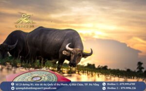 Hướng Nhà Theo Tuổi Ất Sửu 1985 Hút May Mắn, Tài Lộc