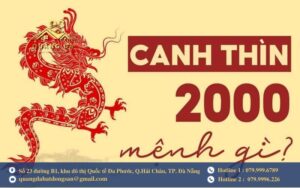 Những đặc điểm của người tuổi Canh Thìn 2000