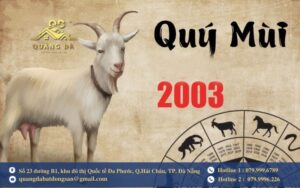 Tổng quan về tuổi quý mùi 2003