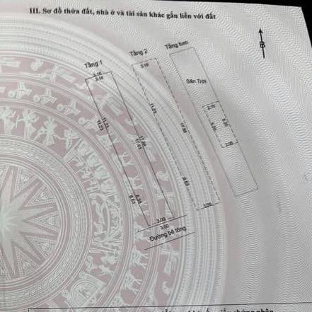 photo_2025-06-13_19-21-44