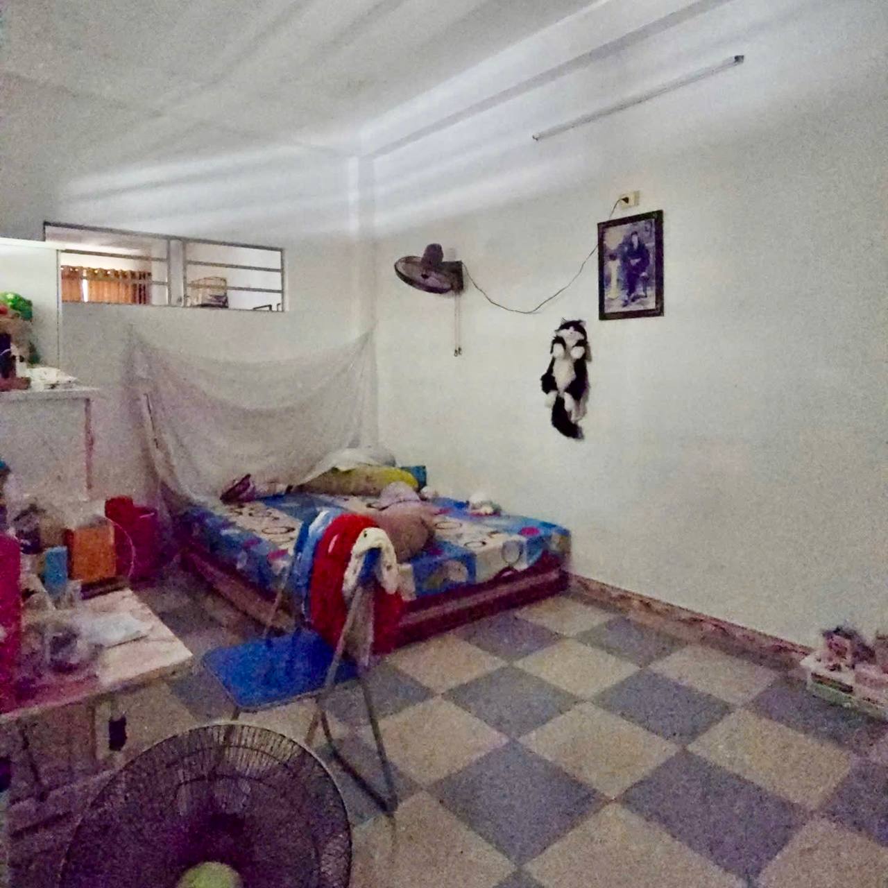 photo_2025-06-17_09-23-46