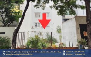 Những ưu điểm của đất lọt khe trong mắt chuyên gia