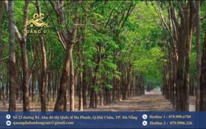 Đặc điểm pháp lý và sử dụng của đất trồng cây lâu năm