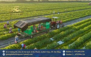 Đất nhk là đất gì?