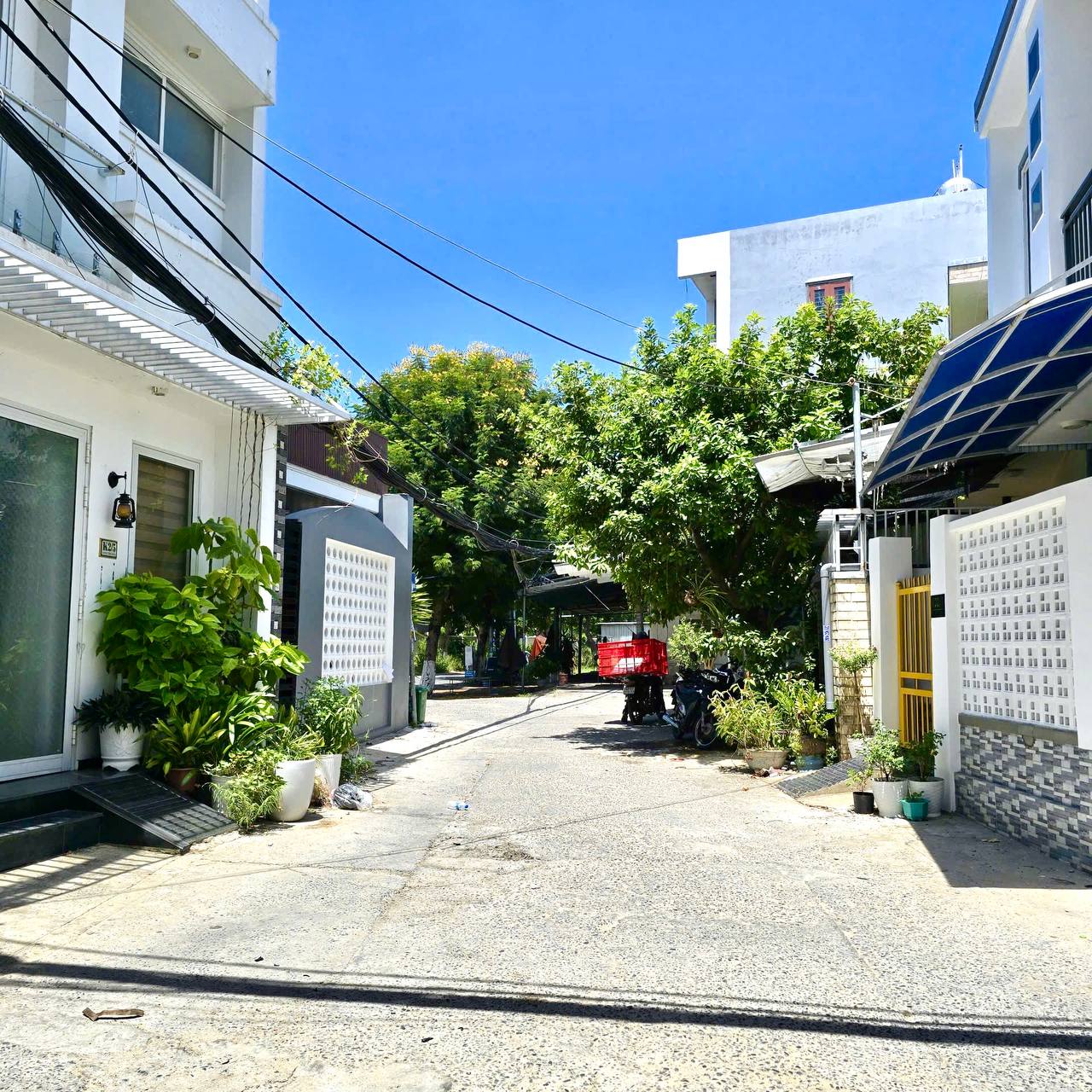 photo_2025-08-27_14-59-55