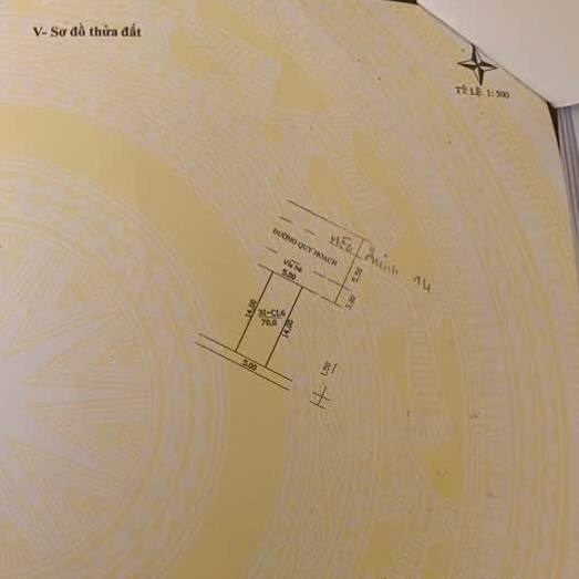 photo_2025-09-13_19-40-33