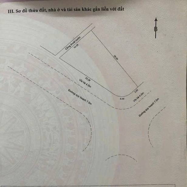 photo_2025-09-29_14-36-44