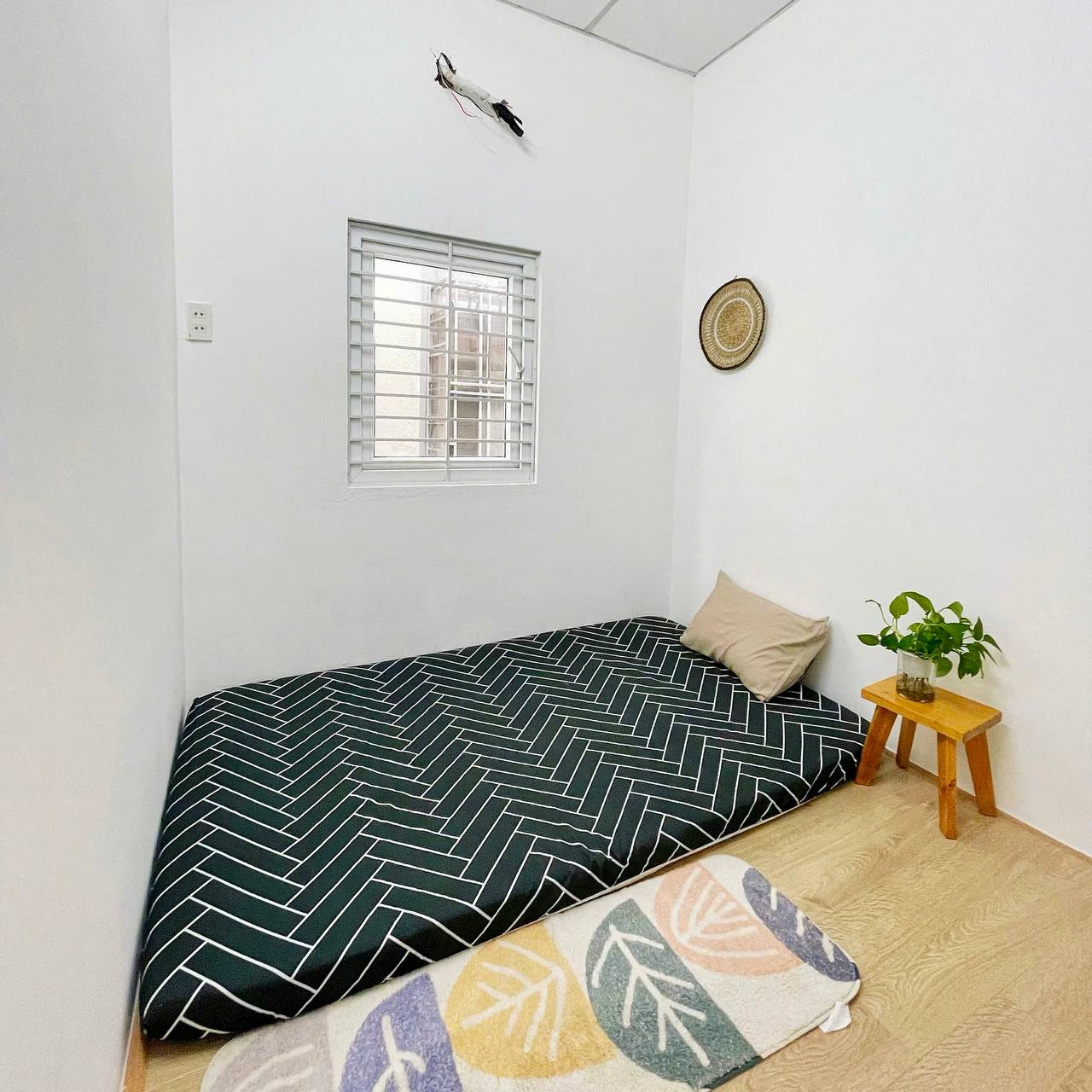 photo_2025-10-05_17-48-29