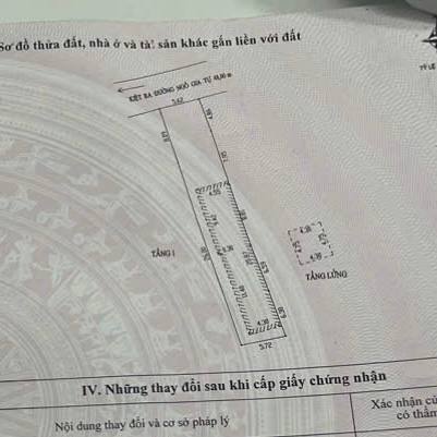 photo_2025-11-13_12-33-47