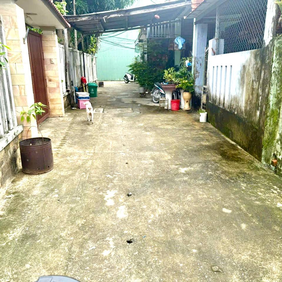 photo_2025-11-13_15-45-26