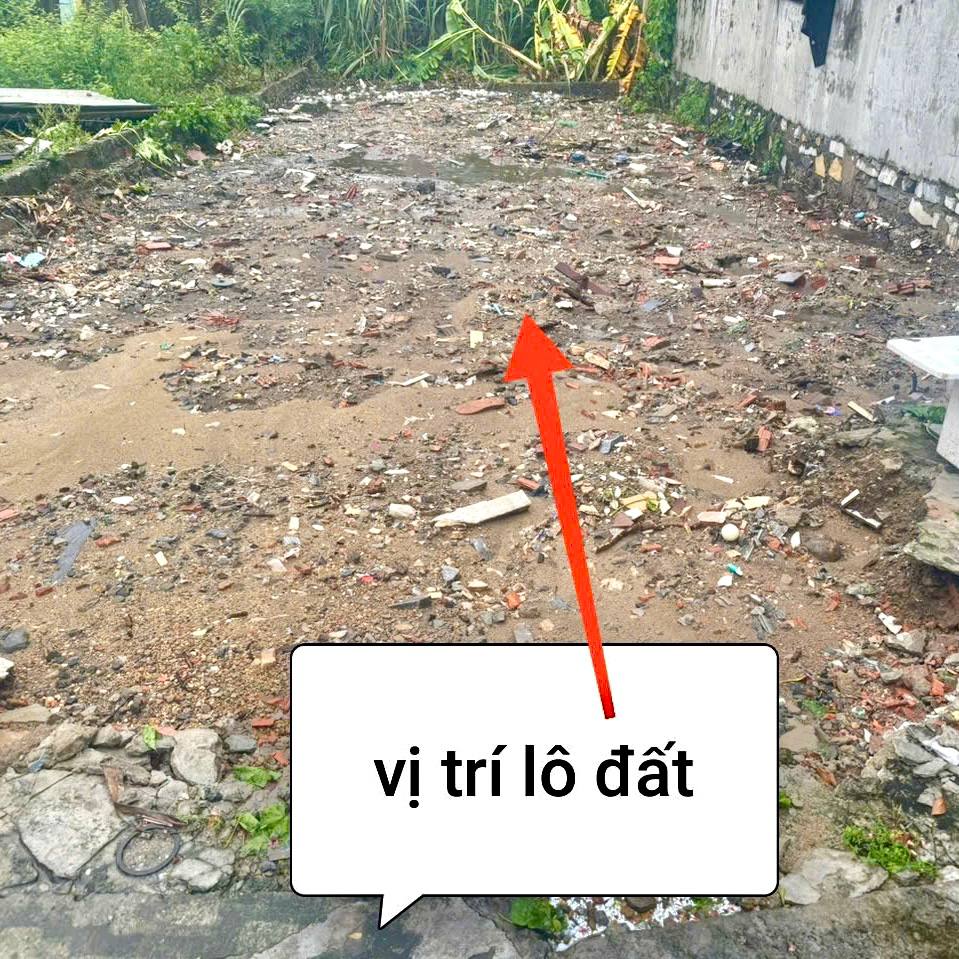 photo_2025-11-13_15-45-29