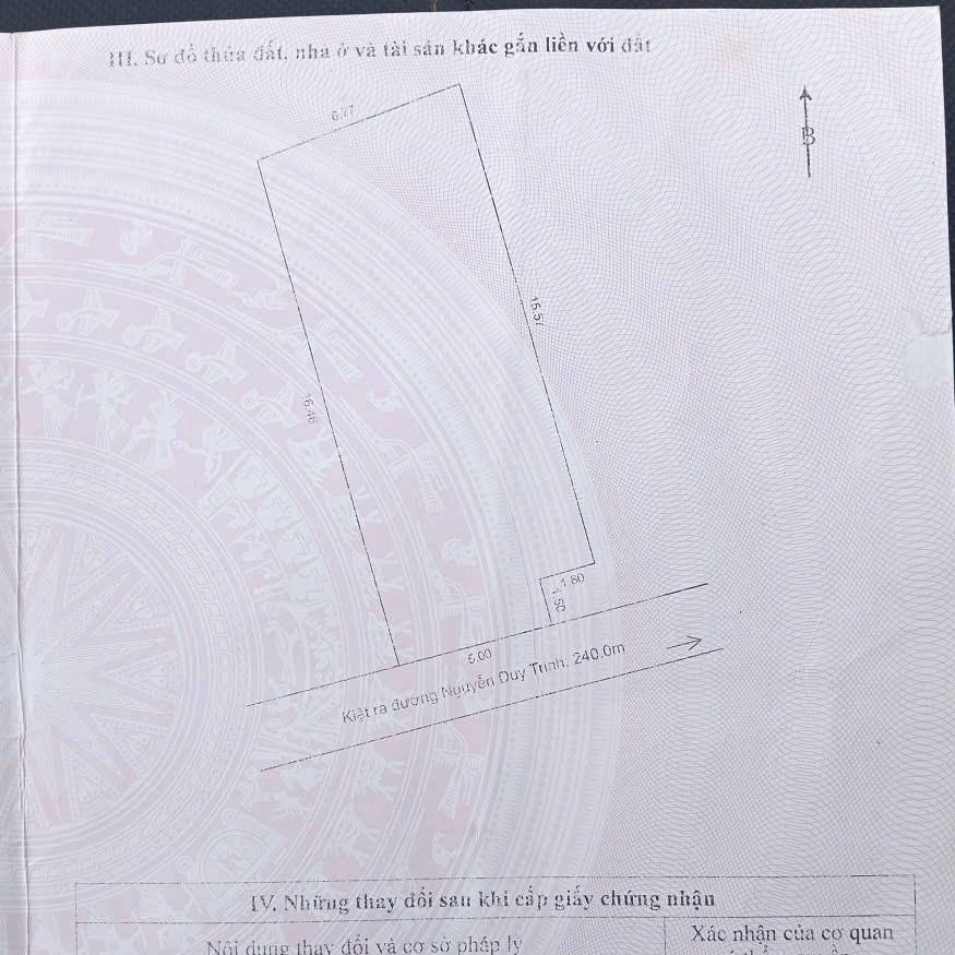 photo_2025-11-13_15-45-34