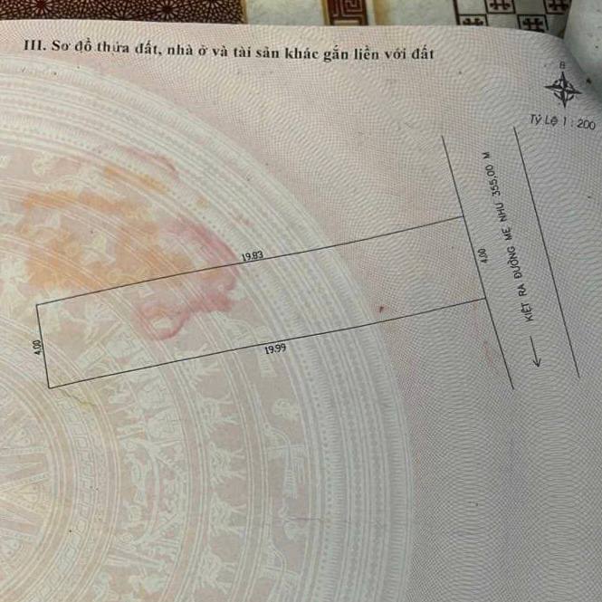 photo_2025-12-26_17-15-34 (3)