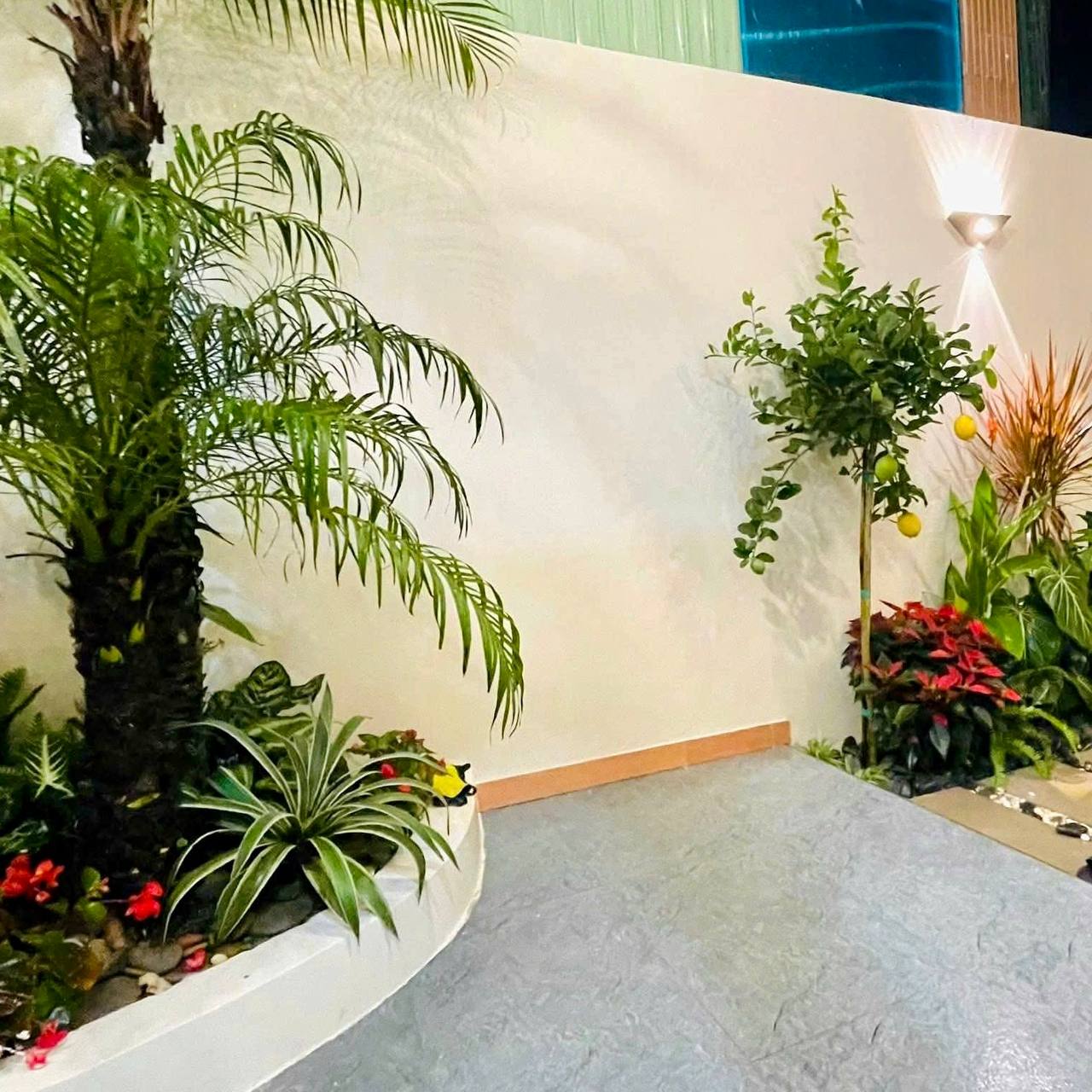 photo_2025-12-27_14-59-19