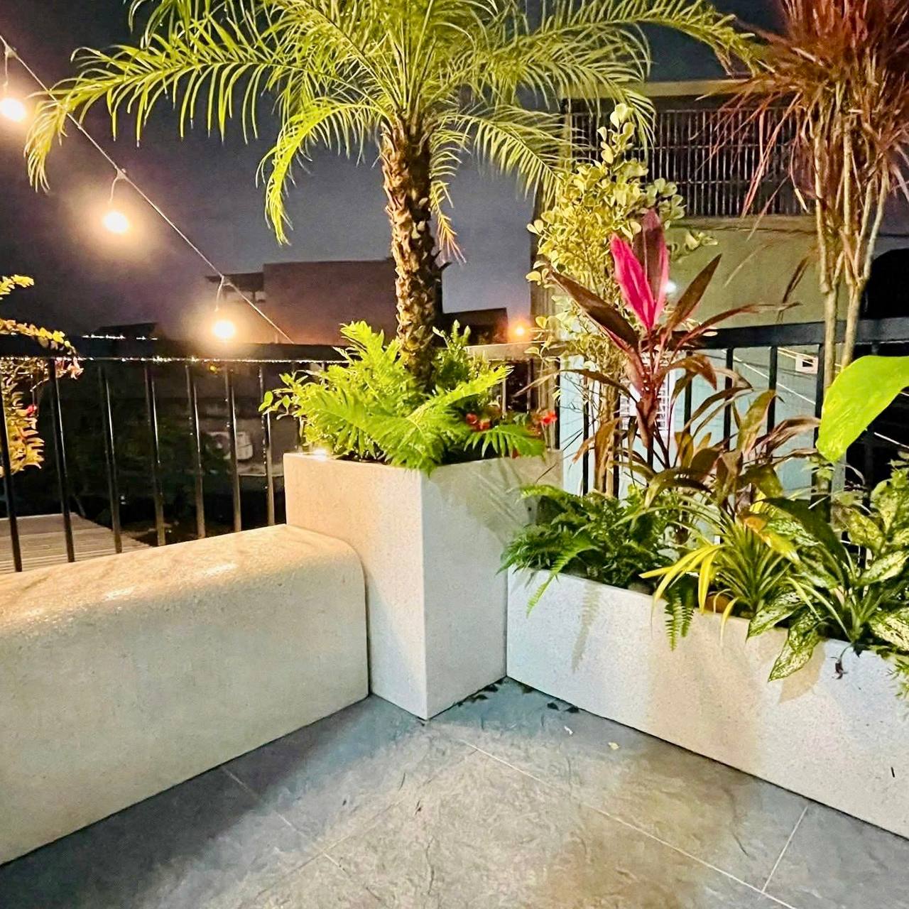 photo_2025-12-27_14-59-20